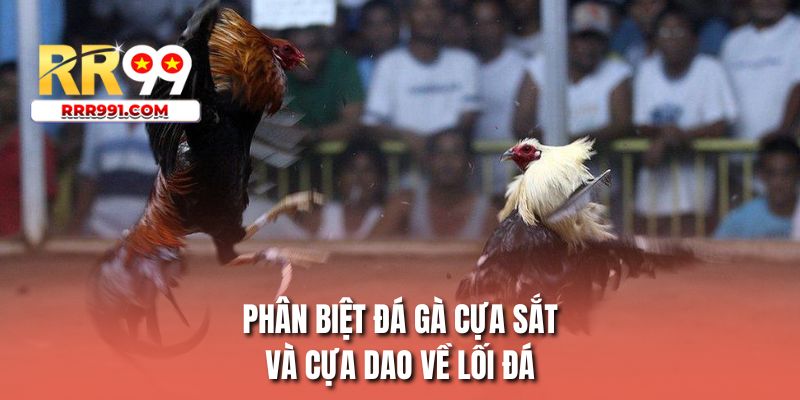 Phân biệt đá gà cựa sắt và cựa dao về lối đá